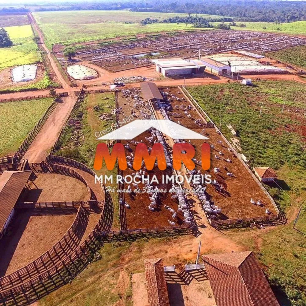 Fazenda, 9 hectares - Foto 7