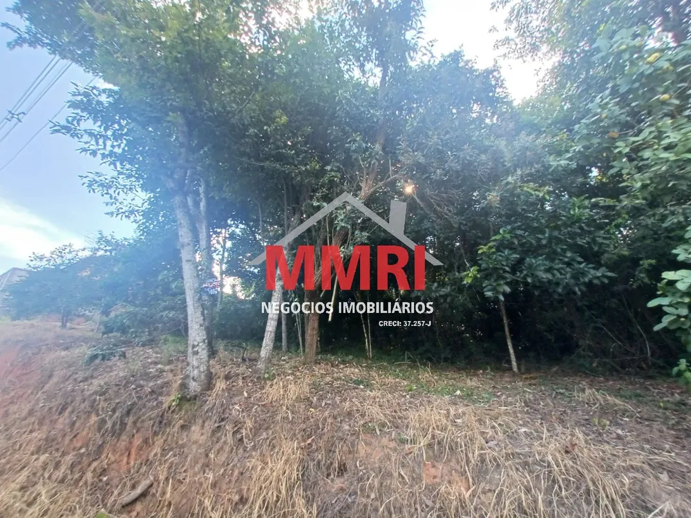 Terreno, 1167 m² - Foto 6