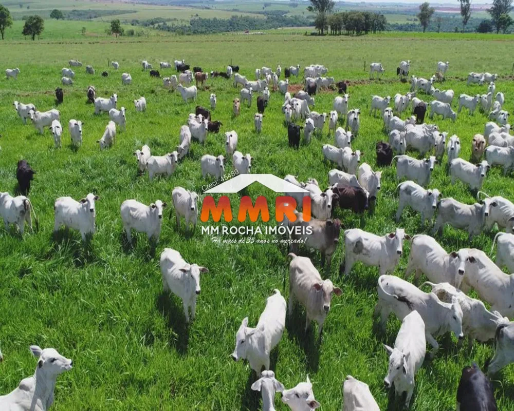 Fazenda, 632 m² - Foto 1
