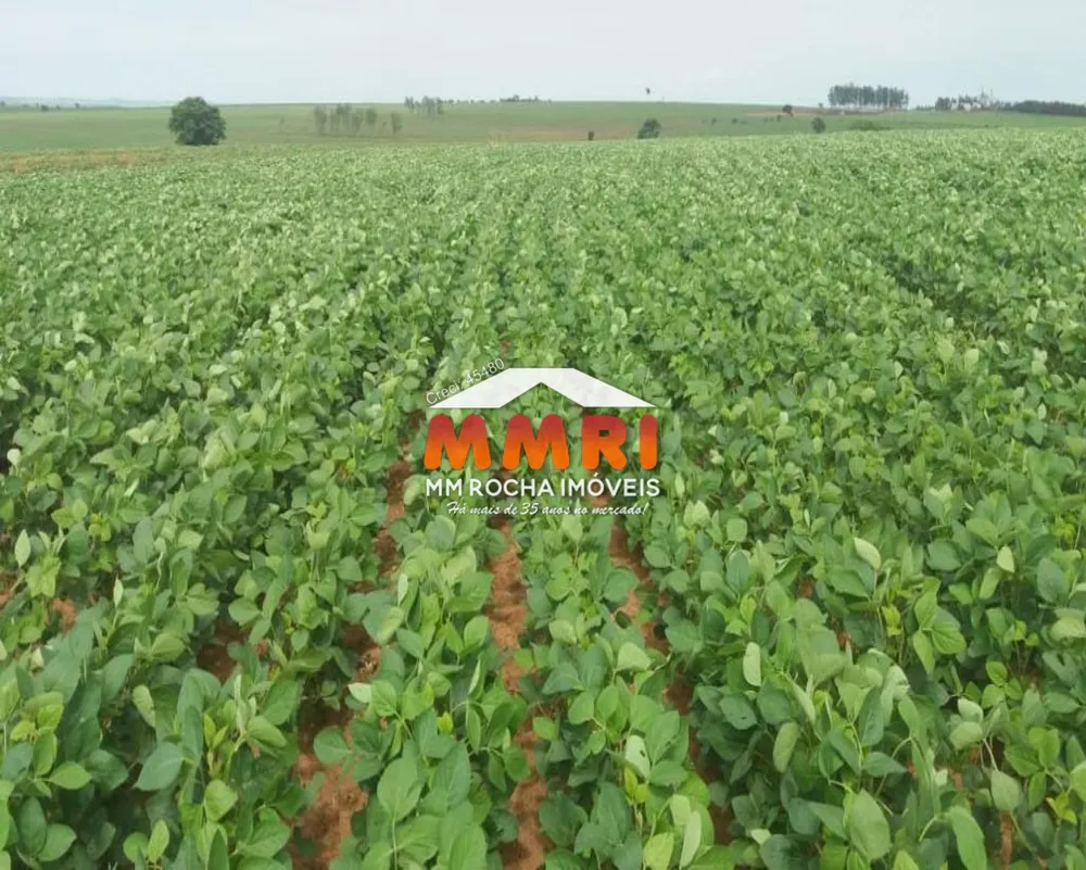 Fazenda, 632 m² - Foto 4