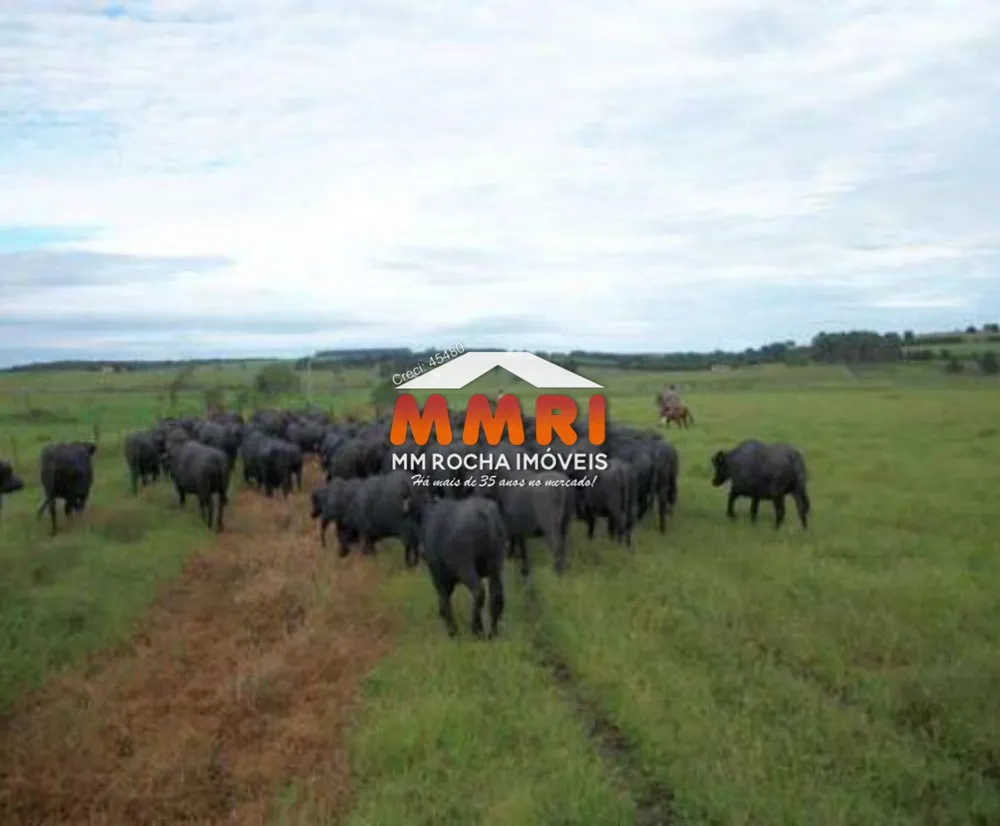 Fazenda - Foto 7