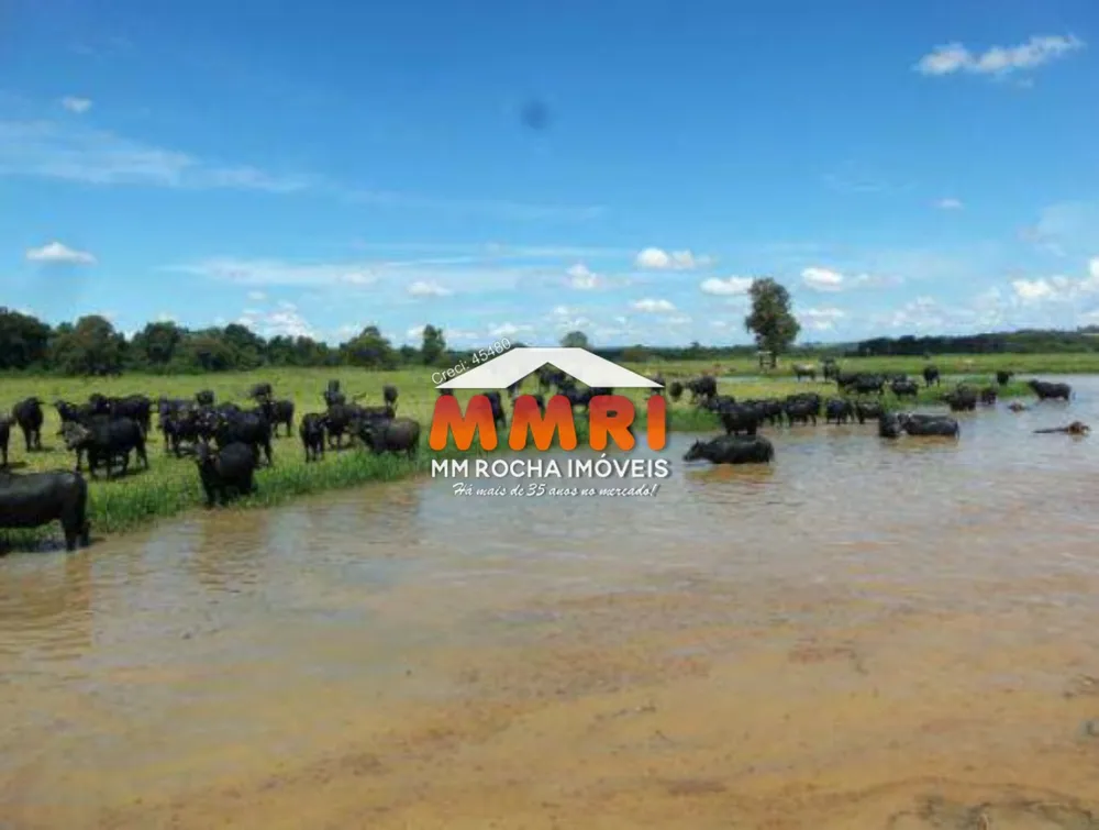 Fazenda - Foto 6