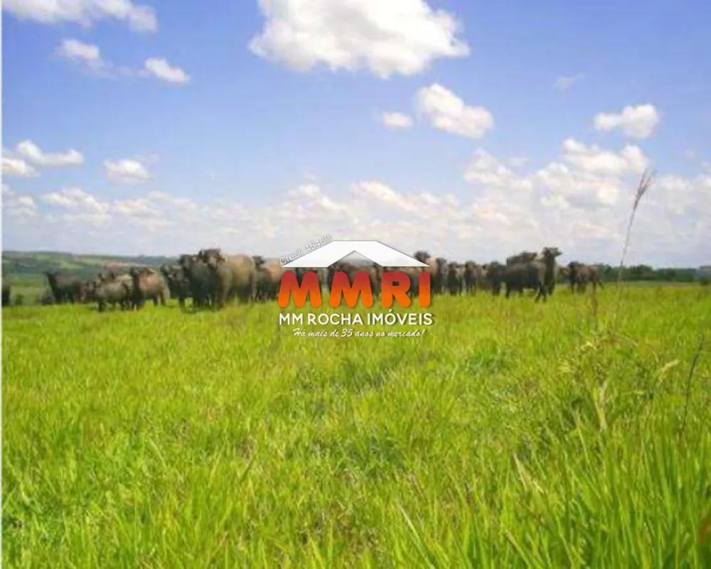 Fazenda - Foto 4