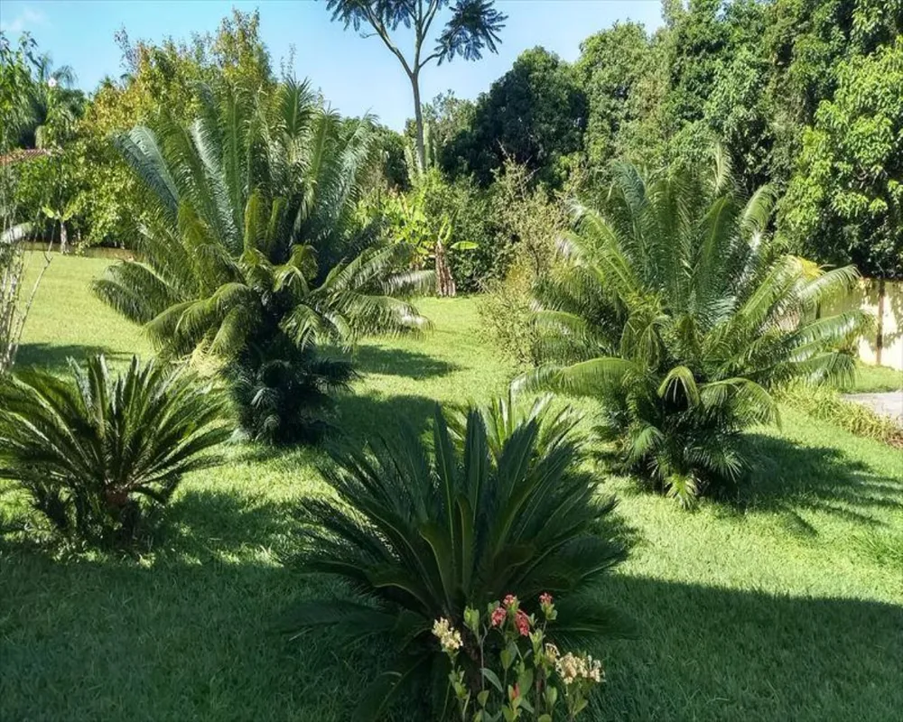 Chácara, 7 quartos, 3000 m² - Foto 1