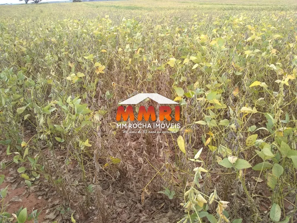 Fazenda, 632 m² - Foto 2