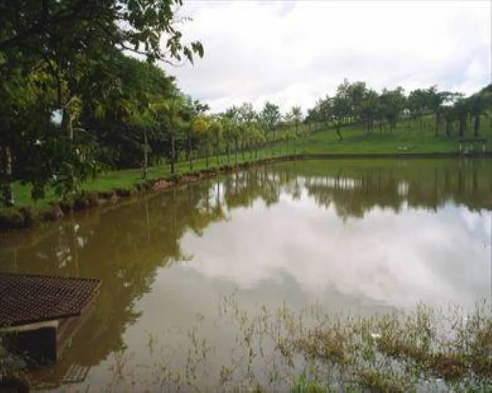 Fazenda, 36 m² - Foto 4
