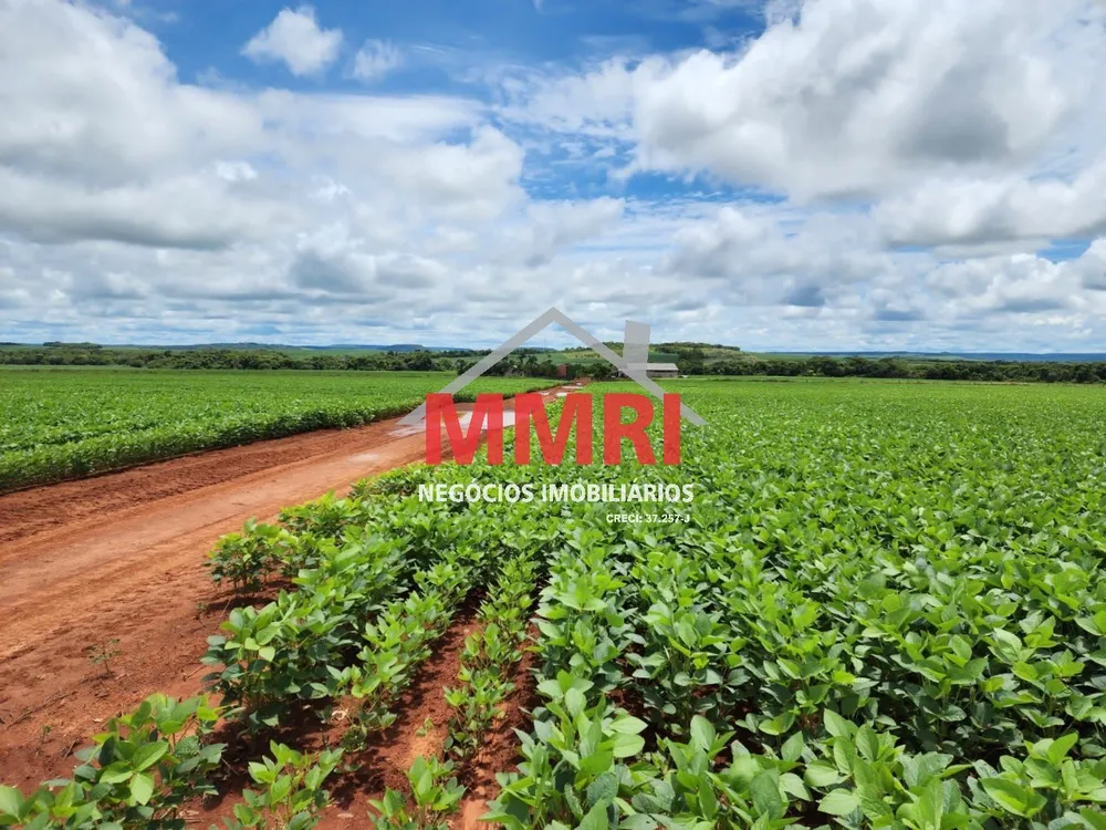 Fazenda, 7 quartos - Foto 5
