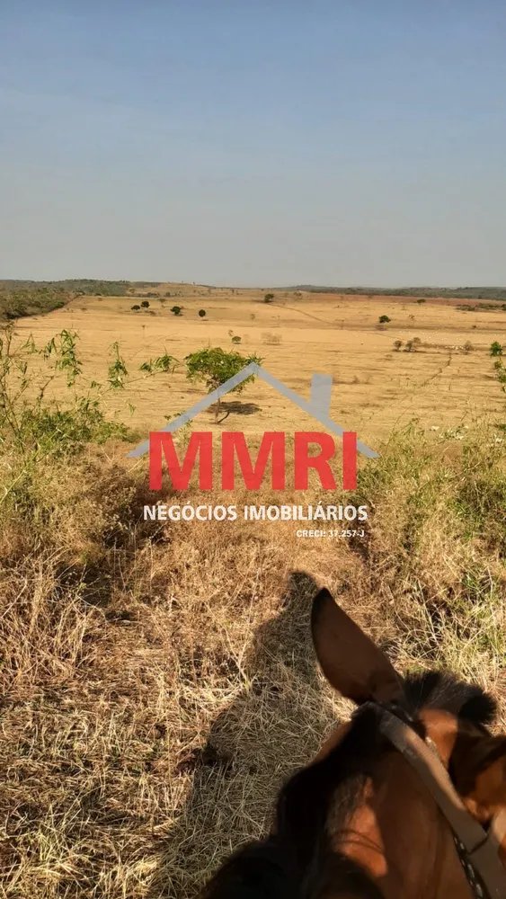 Fazenda, 7 quartos - Foto 6