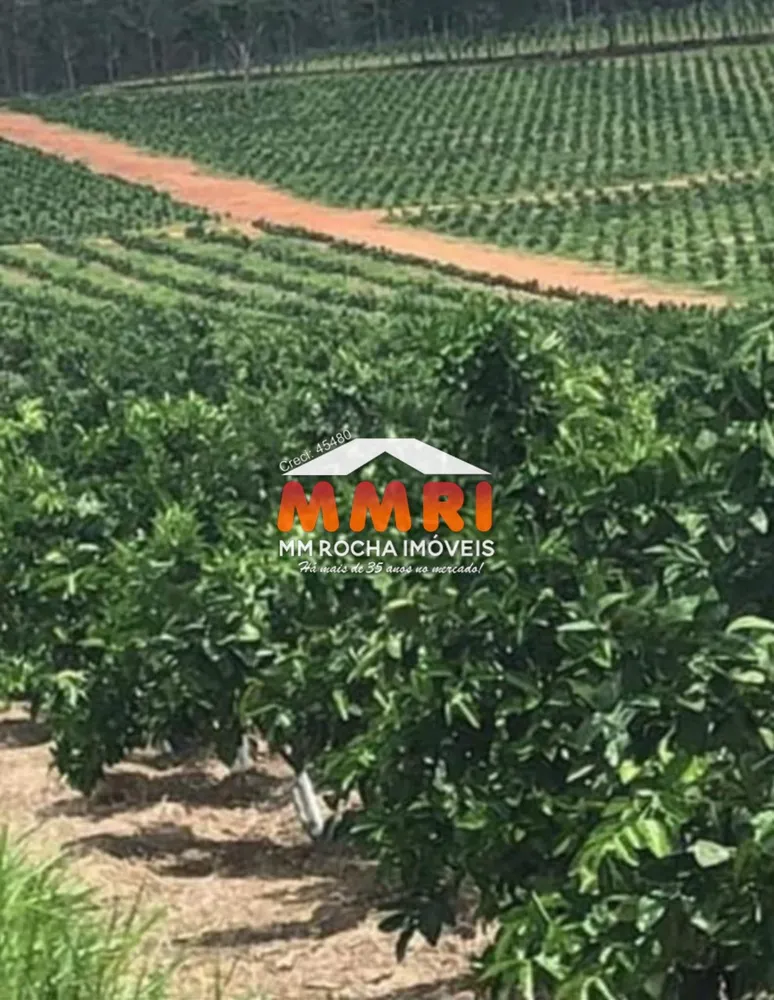 Fazenda, 1 quarto - Foto 6