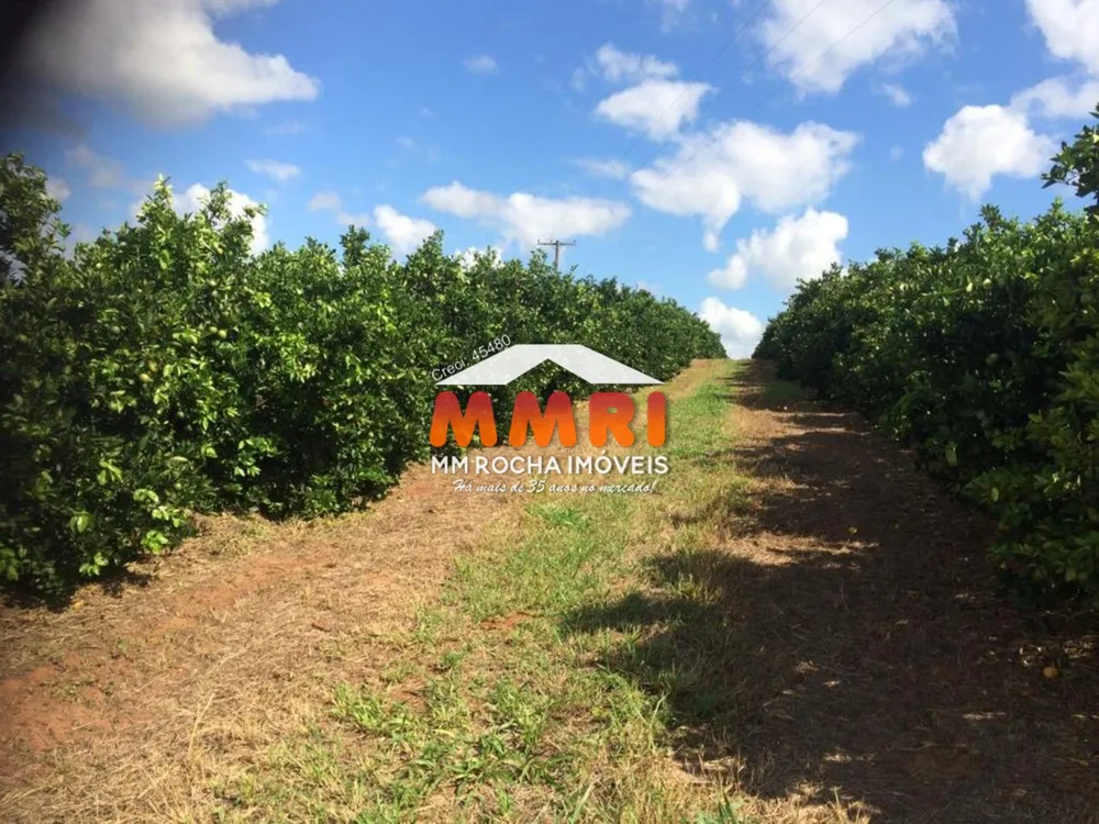 Fazenda, 1 quarto - Foto 2