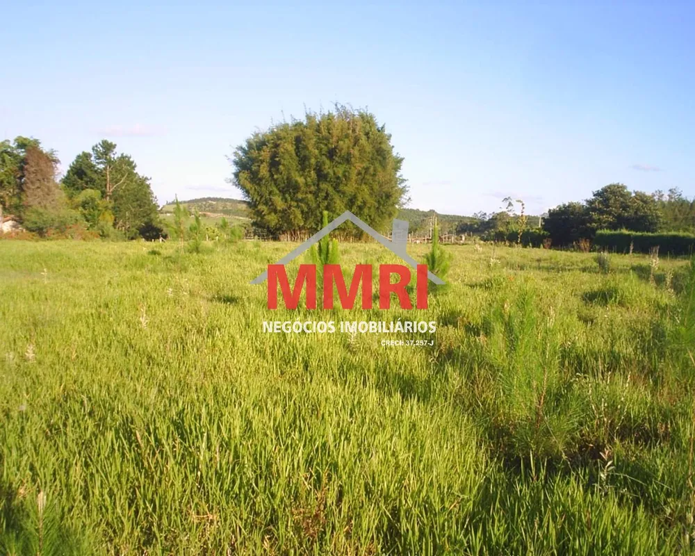 Terreno, 5000 m² - Foto 2