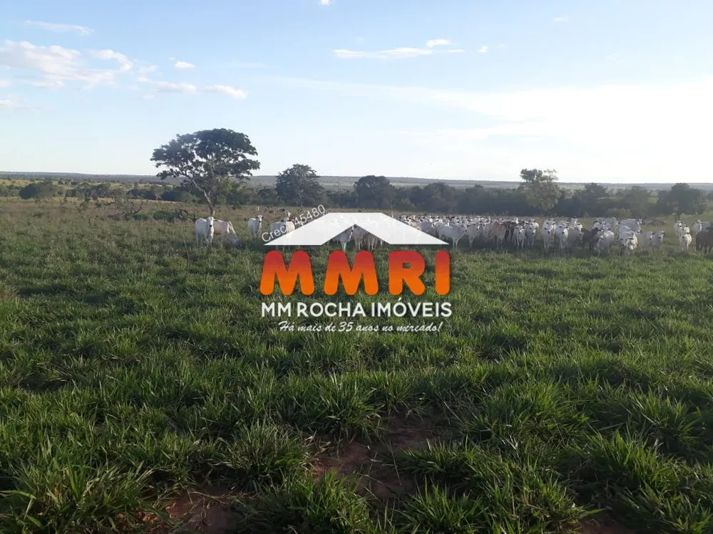Fazenda, 350 m² - Foto 2
