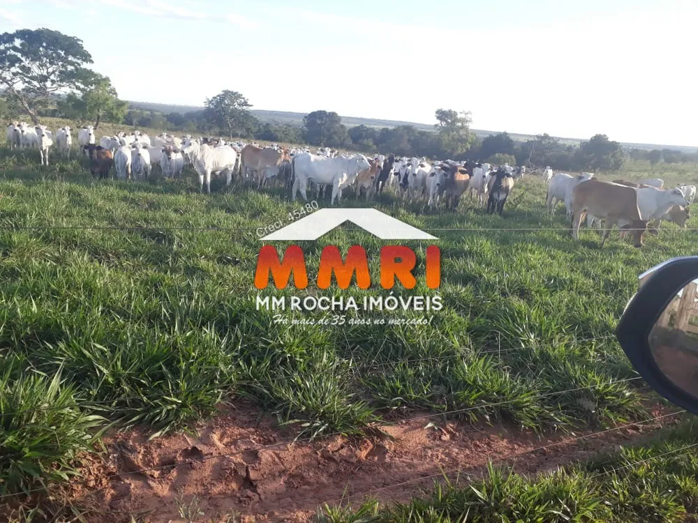 Fazenda, 350 m² - Foto 7