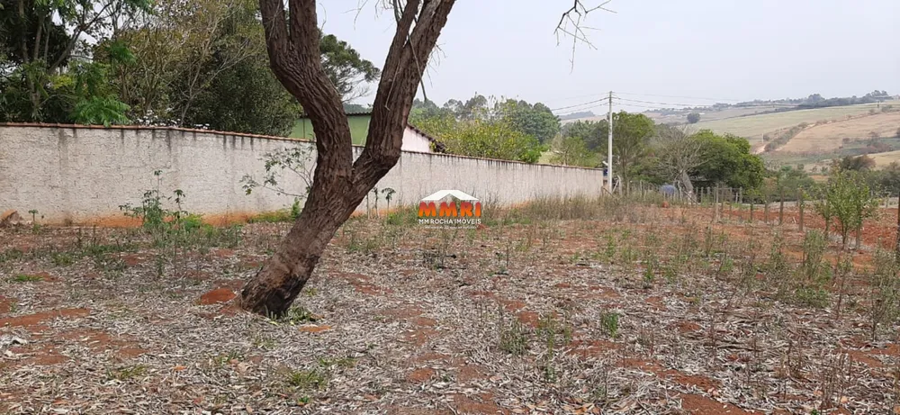 Terreno, 3750 m² - Foto 4