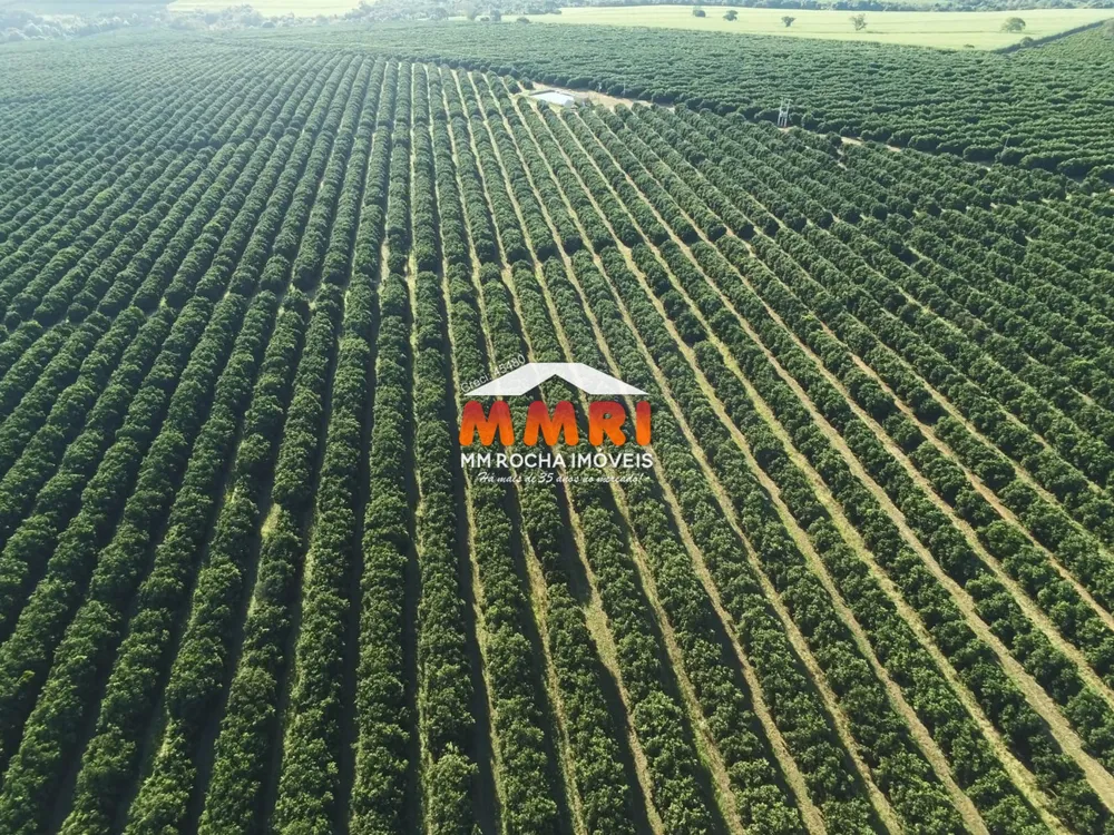 Fazenda, 953 m² - Foto 5