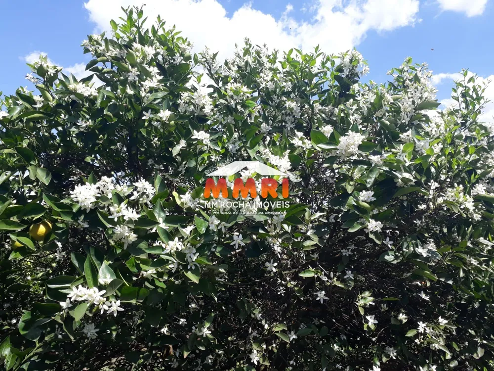 Fazenda, 953 m² - Foto 4