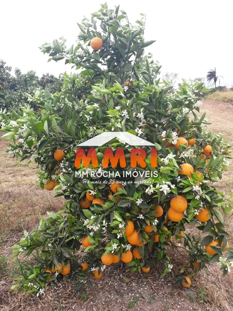 Fazenda, 953 m² - Foto 8