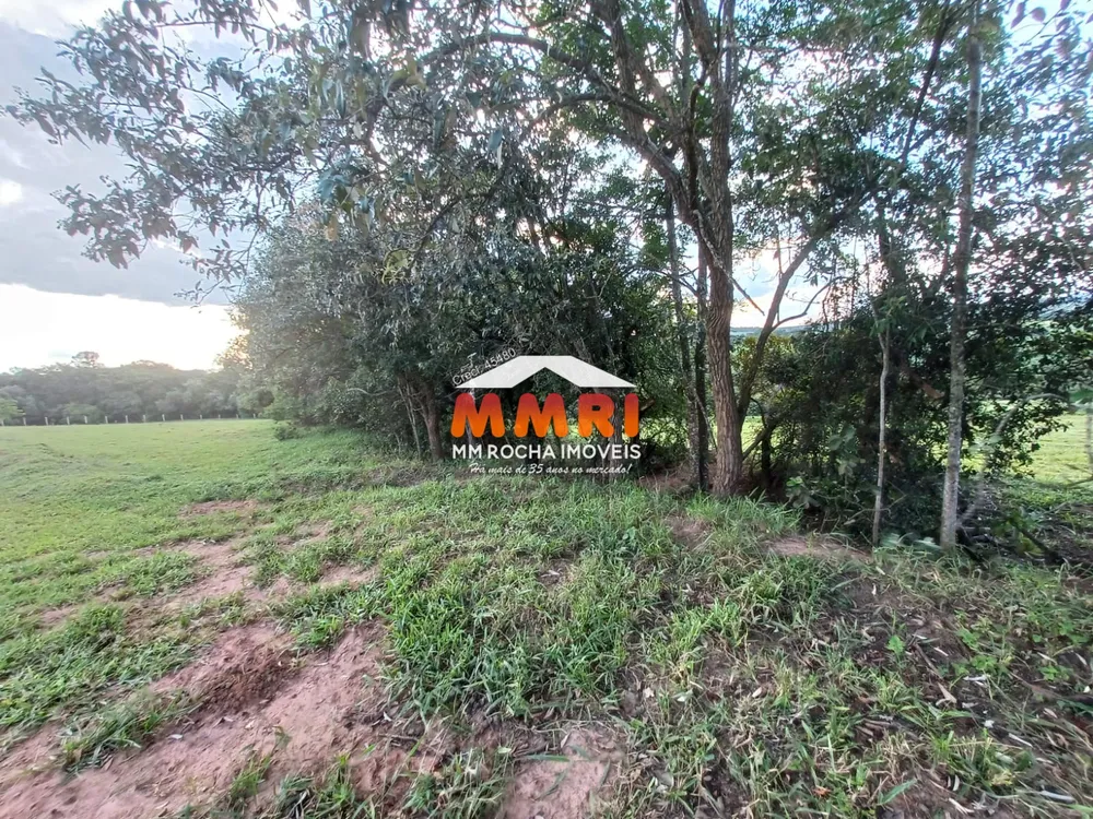 Terreno, 6 hectares - Foto 6