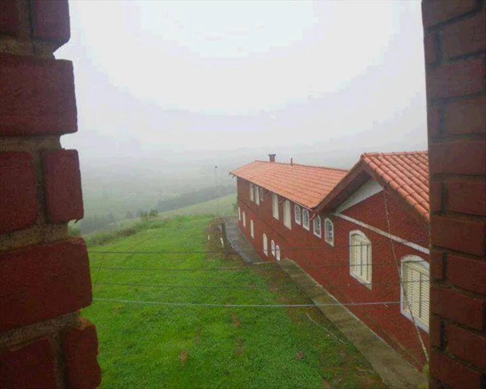 Fazenda, 121 hectares - Foto 7