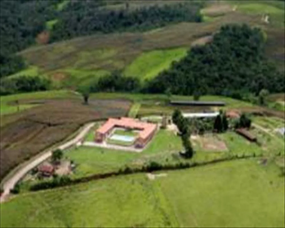 Fazenda, 121 hectares - Foto 4