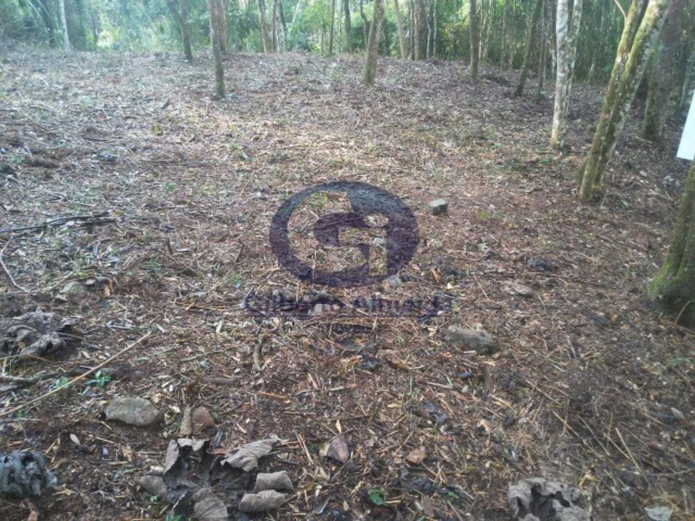 Terreno à venda, 662m² - Foto 6