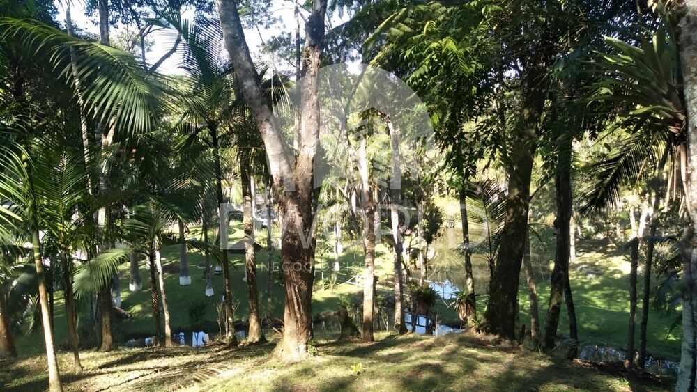 Chácara, 3 quartos, 5 hectares - Foto 5