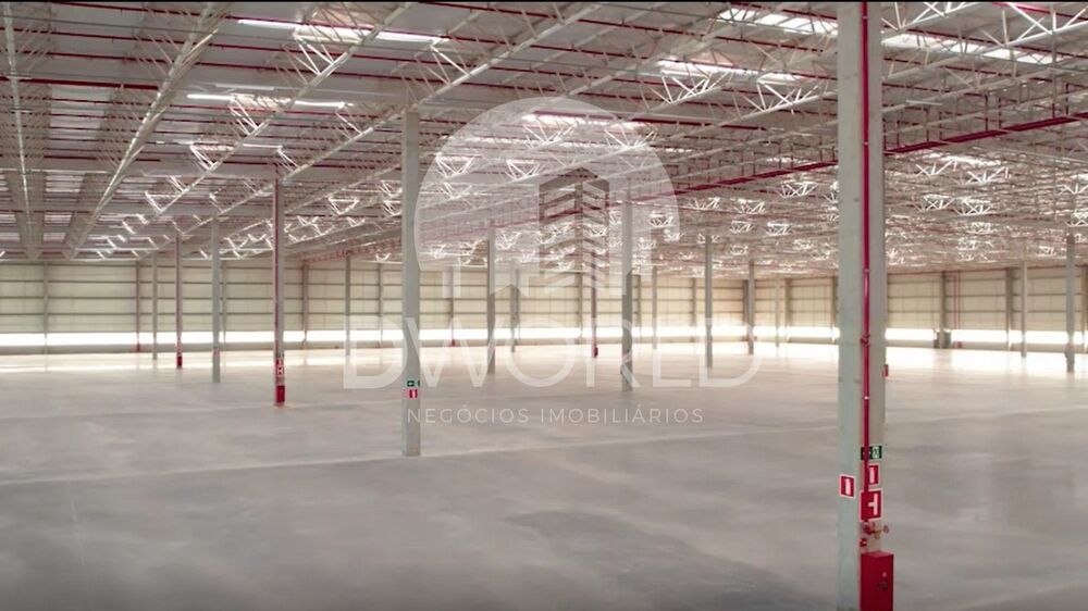 Depósito-Galpão, 2974 m² - Foto 8