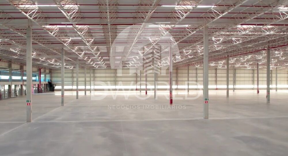 Depósito-Galpão, 2974 m² - Foto 11
