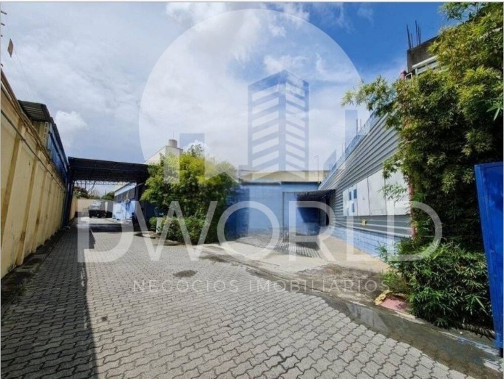 Depósito-Galpão, 3500 m² - Foto 2