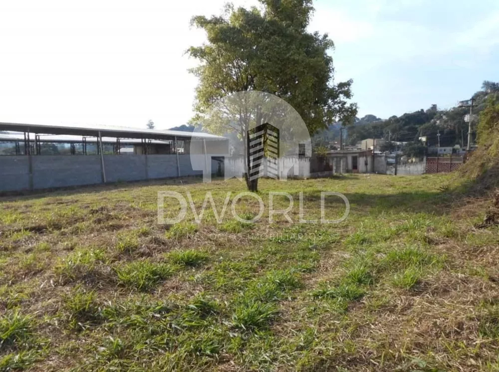 Terreno, 2167 m² - Foto 7