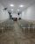 Prédio Inteiro, 205 m² - Foto 1