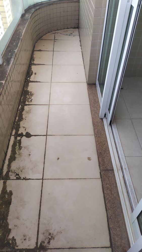 Cobertura, 4 quartos, 270 m² - Foto 2