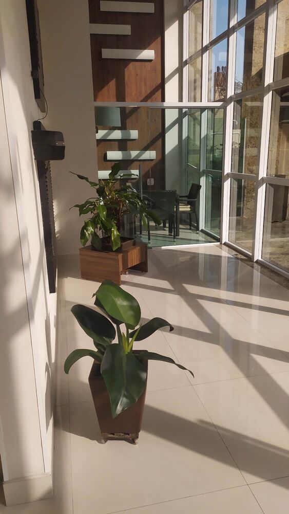 Cobertura, 4 quartos, 270 m² - Foto 58