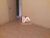 Apartamento, 3 quartos, 96 m² - Foto 3