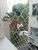 Apartamento, 2 quartos, 80 m² - Foto 3