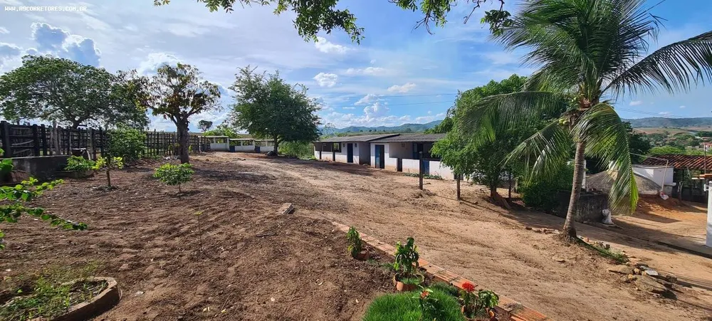 Sítio, 3 quartos, 12 hectares - Foto 1