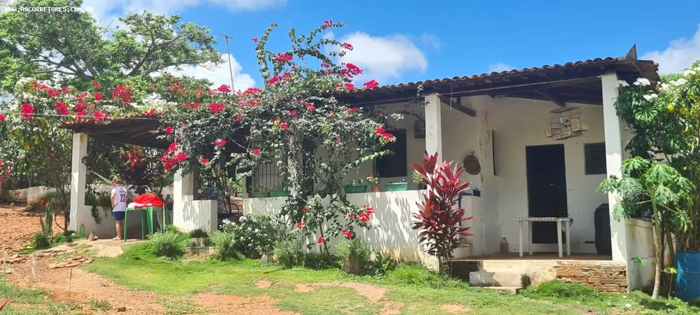 Sítio, 3 quartos, 12 hectares - Foto 4