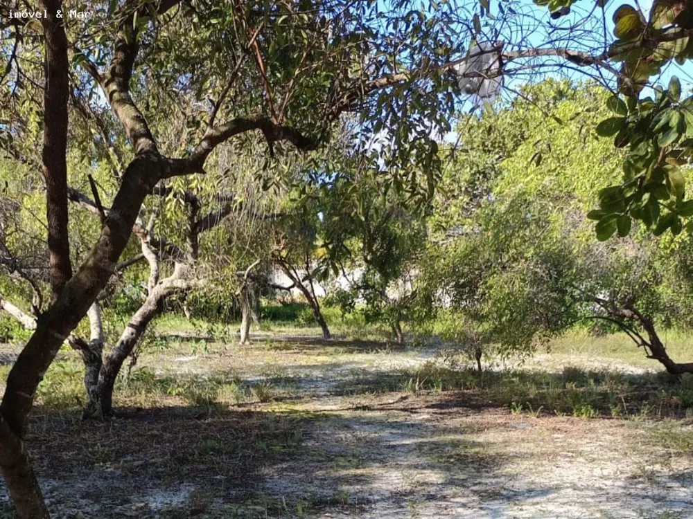 Terreno, 240 m² - Foto 3