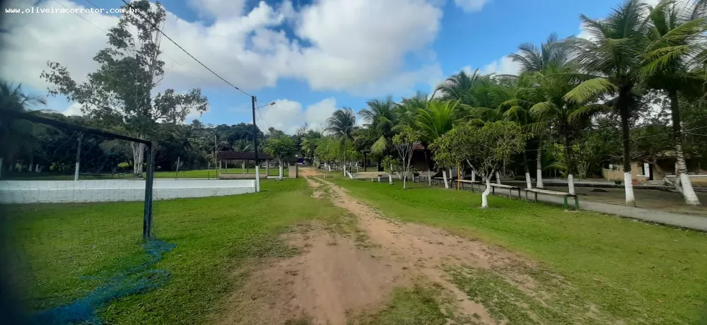 Chácara, 4 quartos, 4 hectares - Foto 4