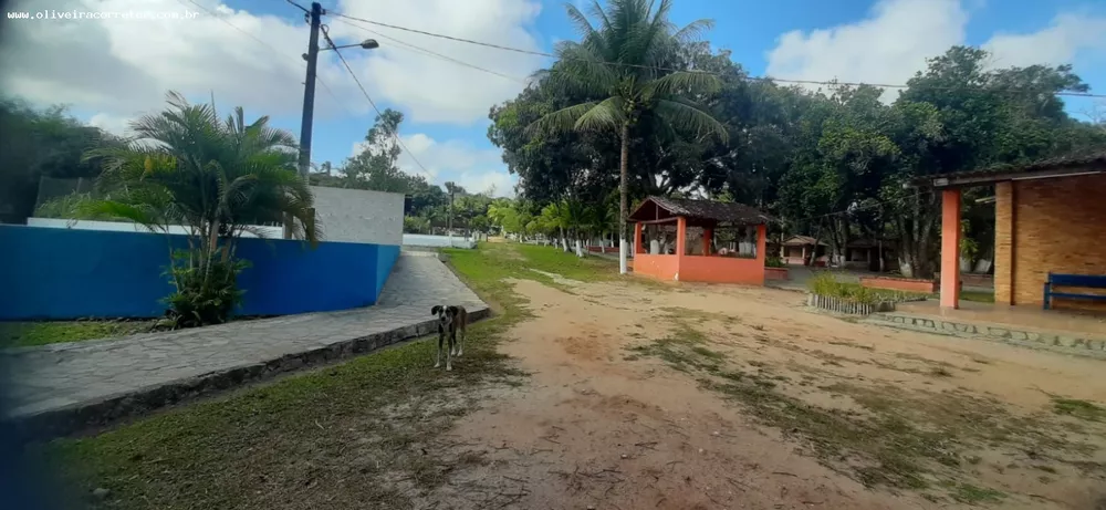 Chácara, 4 quartos, 4 hectares - Foto 2