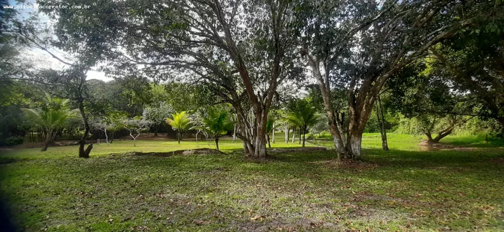 Chácara, 4 quartos, 4 hectares - Foto 1