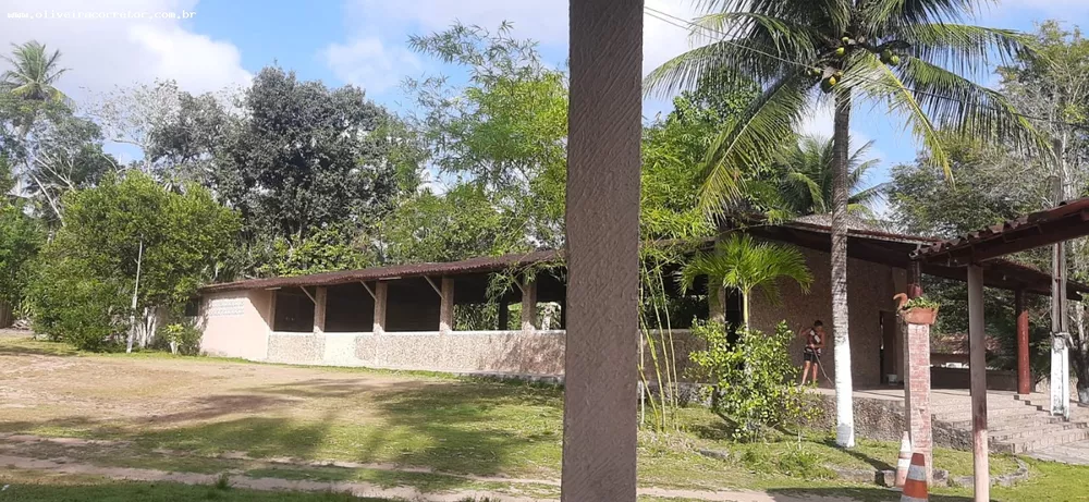 Chácara, 4 quartos, 4 hectares - Foto 3