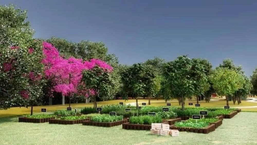 Terreno, 150 m² - Foto 6