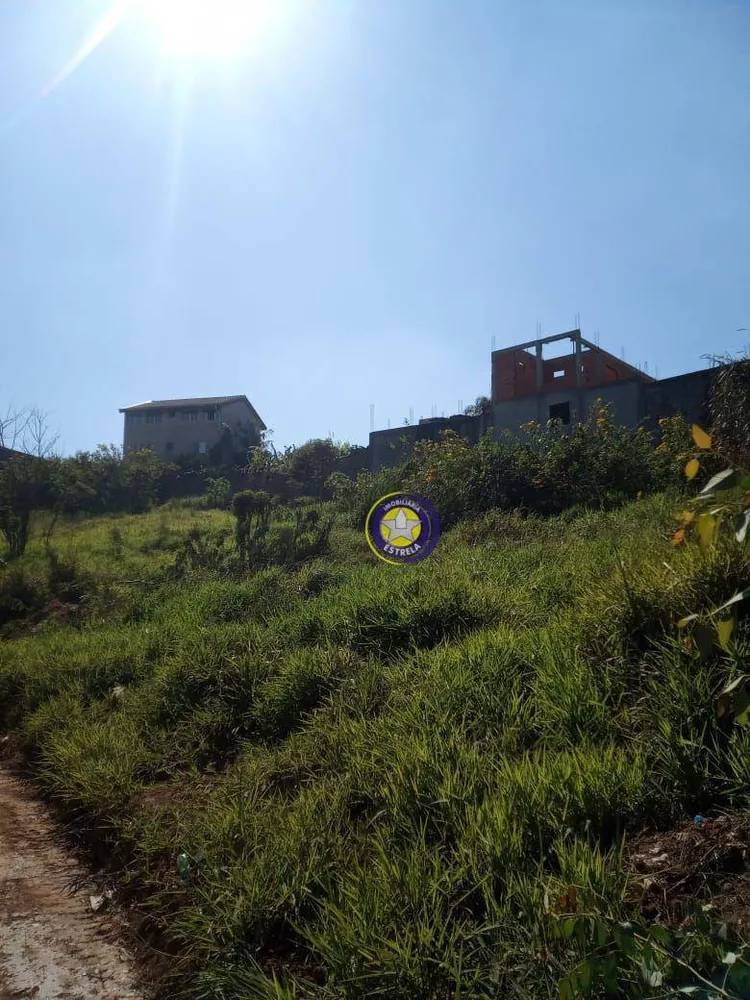 Terreno, 250 m² - Foto 4