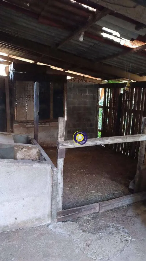 Chácara, 2 quartos, 5000 m² - Foto 3