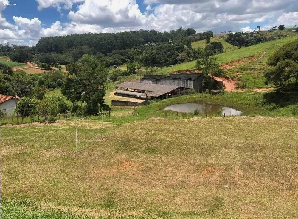 Sítio, 7 quartos, 22 hectares - Foto 3
