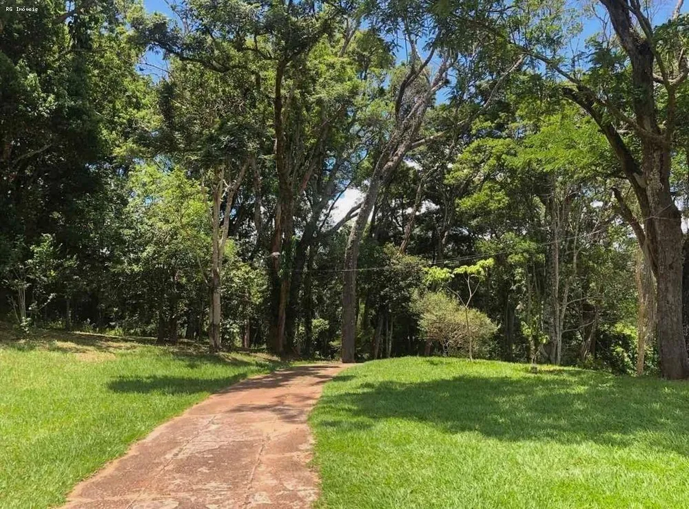 Sítio, 7 quartos, 22 hectares - Foto 7