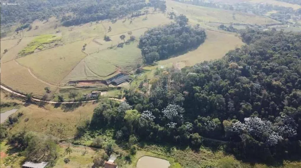 Sítio, 7 quartos, 22 hectares - Foto 4