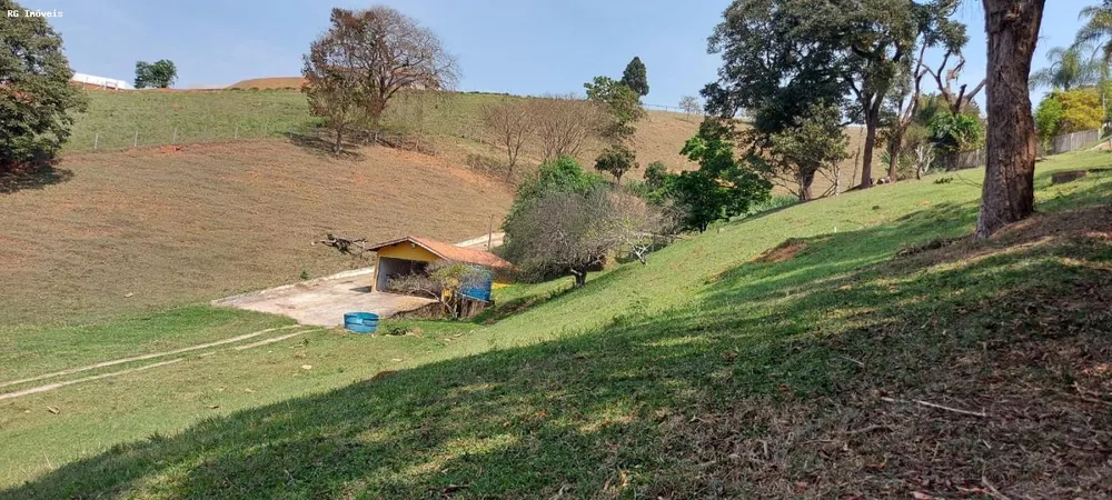 Chácara, 3 quartos, 2 hectares - Foto 11