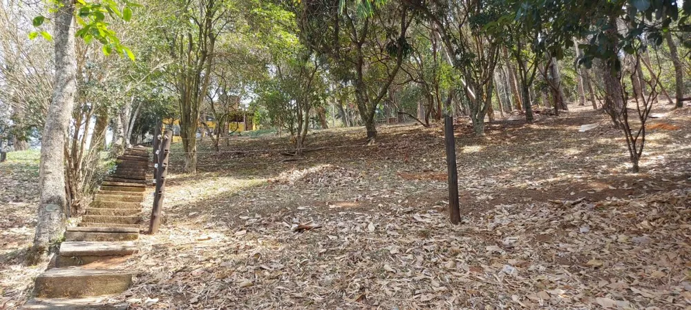 Chácara, 3 quartos, 2 hectares - Foto 4
